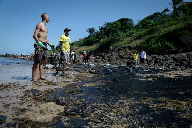 Voluntários limpam praias em Pernambuco, no Nordeste do Brasil - Créditos: Foto: AFP