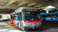 WMATA Metrobus 2019 New Flyer Xcelsior XD40 #4468