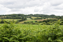 Brittany Countryside - Photo of Saint-Urbain