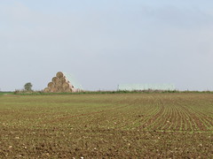 Pozières: The D73 road to Thiepval (Somme) - Photo of Morval