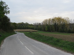 Authuille: The D151 road (Somme) - Photo of Sailly-au-Bois