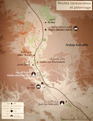 Carte de l'oasis d'Al-Ulâ (Institut du monde arabe, Paris)