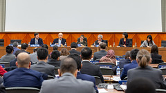 Standing Committee on the Law of Patents