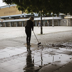 A woman sweeping fallen leaves