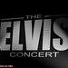 The Elvis Concert, Theater de Schalm (Veldhoven) 13-12-2019