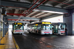 TCL / Irisbus Citelis 12 n°3305, Iveco Urbanway 12 n°3202 et Iveco Urbanway 12 n°3063
