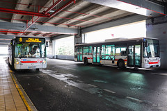 TCL / Irisbus Citelis 12 n°3305 et Iveco Urbanway 12 n°3063