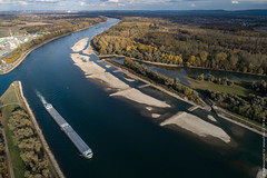 Niedrigwasser im Rhein bei Au am Rhein im November 2018 - Photo of Lauterbourg
