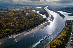 Niedrigwasser im Rhein bei Au am Rhein im November 2018