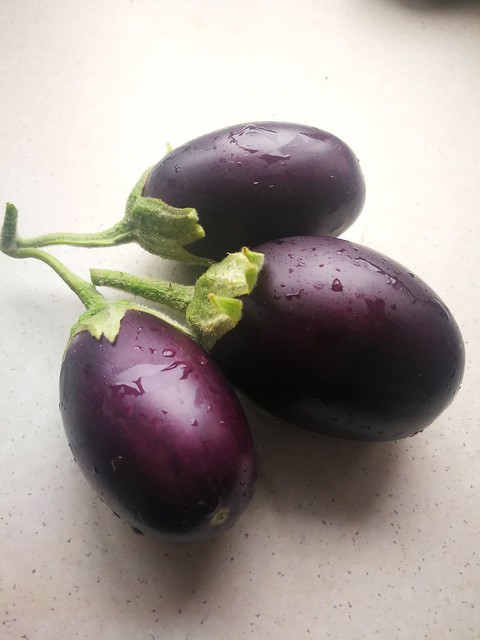 Image of eggplant by inmytree