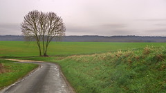 Plaine du Valois - Photo of Puiseux-en-Retz