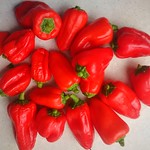 habanero pepper