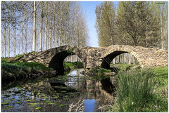 Le Pont de la Reine Blanche - Photo of Brion-près-Thouet