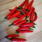 piri-piri pepper