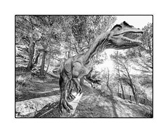 tyrannosaurus rex - Photo of Cornillon-Confoux
