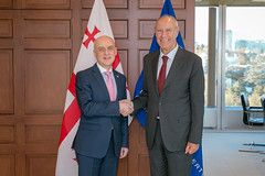 WIPO Director General Meets Georgia's Foreign Minister