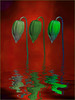 Green flower heads (2) - An exhibition of work from Willie Wilson