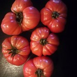 brandywine tomato