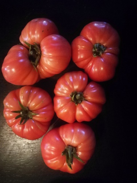 Image of brandywine tomato