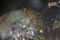 Bubbles 2 - An Exhibitiion of Macro Photography from Chris Arkell