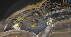 Bubbles 1 - An Exhibitiion of Macro Photography from Chris Arkell