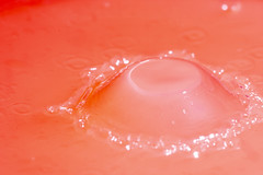 Water drop 9 - An Exhibitiion of Macro Photography from Chris Arkell