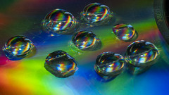 water on CD - An Exhibitiion of Macro Photography from Chris Arkell