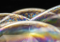 Bubbles 6 - An Exhibitiion of Macro Photography from Chris Arkell