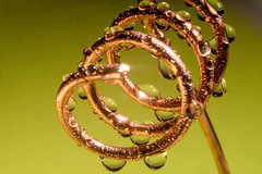 Sprayed water drop 2 - An Exhibitiion of Macro Photography from Chris Arkell