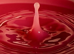 Water drop 24 - An Exhibitiion of Macro Photography from Chris Arkell