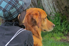 Woman with dog profile San Francisco's golden Gate Park 20110419-162454 cw30 C4