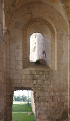 Abbaye de Jumièges - Photo of Bosgouet
