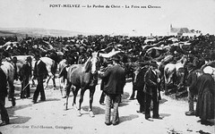 Foire aux chevaux de Pont-Melvez  vers 1900 - Photo of Ploumagoar