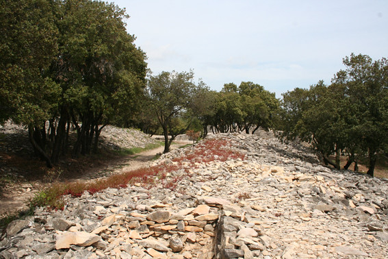 L&#039;oppidum de Nages (Gard)