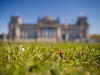 Rasen vor dem Reichstagsgebäude - Alternative Nutzung
