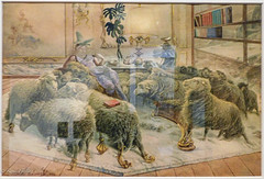 The sheep by Albert Schenck-4352