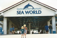 Photo 2 of 7 in the Sea World gallery