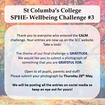 Wellbeing Challenges