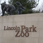 Lincoln Park Zoo, January 26, 2011