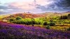 Dartmoor view with bluebells as an impressionist image. - Photo Impressionism & Art