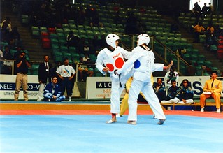 1993 TWG Sports Taekwondo 003