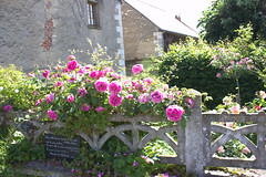 Chédigny (37) - Photo of Reignac-sur-Indre