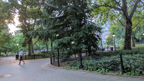 Washington Square Pathway