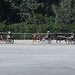 Kasaške dirke v Komendi 05.07.2020 Dirka enovpreg ponijev