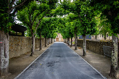 Abbaye Sainte-Trinité de Lessay - Photo of Gorges