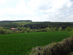 201905_0049 - Photo of Boulay-Moselle