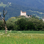 Vineyards in Liechtenstein