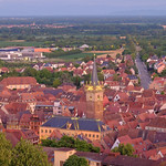Obernai and the Black Forest