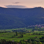 The Vosges foothills
