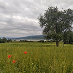 My first view on the Alps at Greifensee